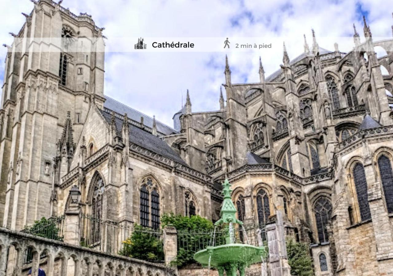 Le Cosy-Chic, 2 Min A Pied Cathedrale , Jacobins Lägenhet Le Mans Exteriör bild